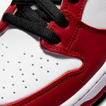 Nike SB Dunk Low Pro “Chicago”